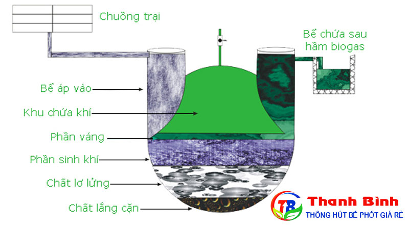 Cơ chế hoạt động của hầm Biogas và hầm Biogas cải tiến