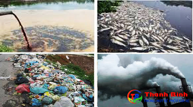 Các loại ô nhiễm môi trường điển hình nhất hiện nay