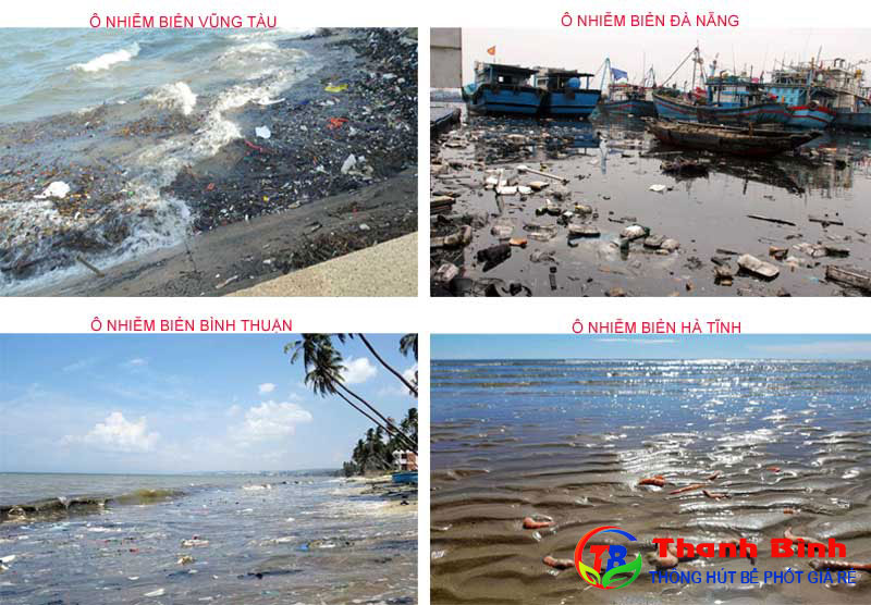 Một số hình ảnh ô nhiễm môi trường biển ở Việt Nam