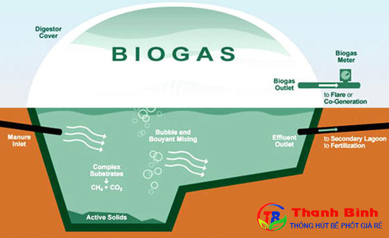 Xử lý chất thải bằng công nghệ biogas