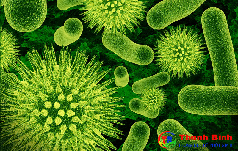Các hình thức hô hấp ở vi sinh vật là gì?
