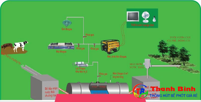 Xử lý nước thải chăn nuôi bằng biogas