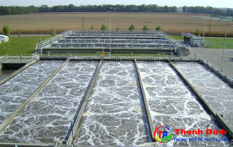 Xử lý nước thải phòng thí nghiệm bằng hồ sinh học ổn định
